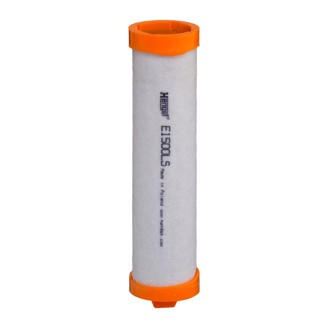 Secondary Air Filter